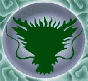 五龍爭霸百搭符號